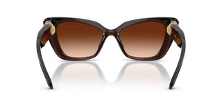 Swarovski SK 6047 women Brown Cat Eye Sunglasses