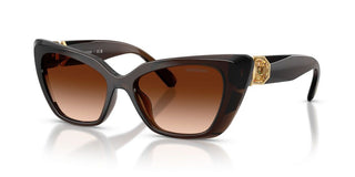 Swarovski SK 6047 women Brown Cat Eye Sunglasses