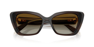 Swarovski SK 6047 women Brown Cat Eye Sunglasses