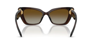 Swarovski SK 6047 women Brown Cat Eye Sunglasses