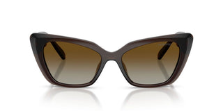 Swarovski SK 6047 women Brown Cat Eye Sunglasses