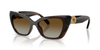 Swarovski SK 6047 women Brown Cat Eye Sunglasses