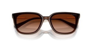 Swarovski SK 6054D women Brown Sunglasses
