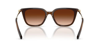 Swarovski SK 6054D women Brown Sunglasses
