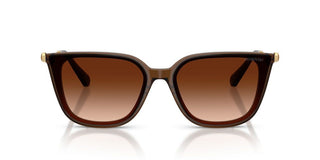 Swarovski SK 6054D women Brown Sunglasses