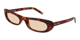 Saint Laurent SL 557 SHADE women Havana Round Sunglasses
