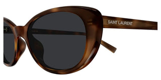 Saint Laurent SL 822 women Havana Cat Eye Sunglasses