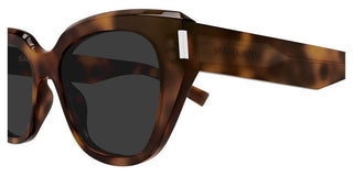 Saint Laurent SL 827 women Havana Cat Eye Sunglasses