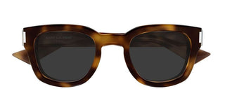 Saint Laurent SL 838 unisex Havana Pantos Sunglasses