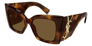 Saint Laurent SL M119 BLAZE women Havana Cat Eye Sunglasses