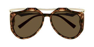 Saint Laurent SL M137/F AMELIA women Havana Pilot Sunglasses