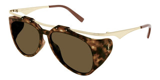 Saint Laurent SL M137/F AMELIA women Havana Pilot Sunglasses