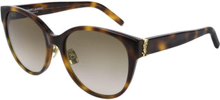 Saint Laurent SL M39/K women Havana Oversize Sunglasses
