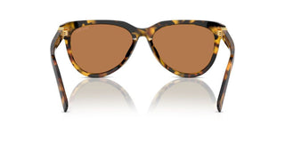 Miu Miu Smu 12zs Women Havana Geometric Sunglasses