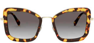 Miu Miu SMU 55V women Havana Butterfly Sunglasses