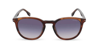 Police Splq82 Unisex  Pantos Sunglasses