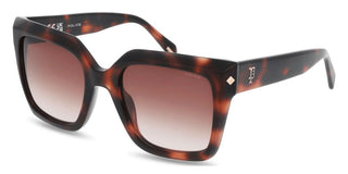 Police Splr26 Unisex Havana Butterfly Sunglasses