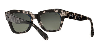 Ray-Ban STATE STREET RB 2186 unisex Havana Squared Sunglasses
