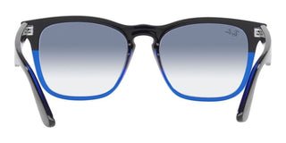 Ray-Ban STEVE RB 4487 unisex Black Squared Sunglasses