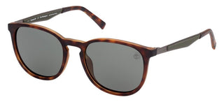 Timberland TB9235 men Havana Round Sunglasses