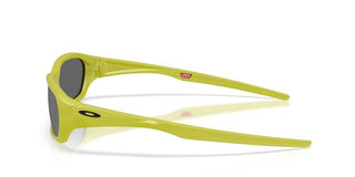 Oakley TERRAFORMA OO 9530 unisex Green Rectangle Sunglasses