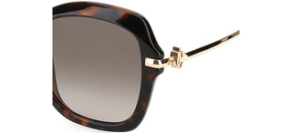 Jimmy Choo TESSY/G/S women Havana Butterfly Sunglasses