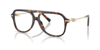 Tiffany & Co. TF 2283 women Havana Pilot Eyeglasses