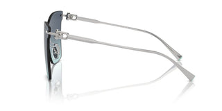 Tiffany & Co. Tf 3103k Women Silver Butterfly Sunglasses