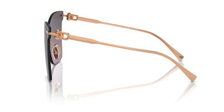 Tiffany & Co. Tf 3103k Women Gold Butterfly Sunglasses