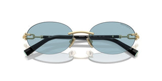 Tiffany & Co. Tf 3104d Unisex Gold Oval Sunglasses