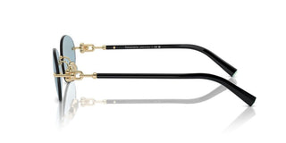 Tiffany & Co. Tf 3104d Unisex Gold Oval Sunglasses