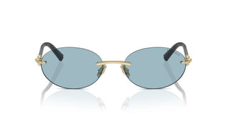Tiffany & Co. Tf 3104d Unisex Gold Oval Sunglasses