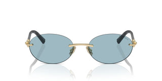 Tiffany & Co. TF 3104D unisex Gold Oval Sunglasses