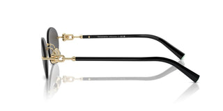 Tiffany & Co. Tf 3104d Unisex Gold Oval Sunglasses