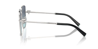 Tiffany & Co. TF 3105D women Silver Oversize Sunglasses