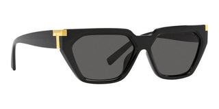 Tiffany & Co. TF 4205U women Black Geometric Sunglasses