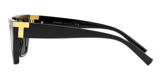 Tiffany & Co. TF 4205U women Black Geometric Sunglasses