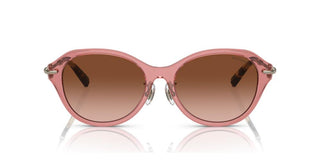 Tiffany & Co. TF 4210D women Pink Oval Sunglasses