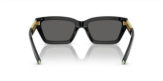 Tiffany & Co. TF 4213 women Black Geometric Sunglasses