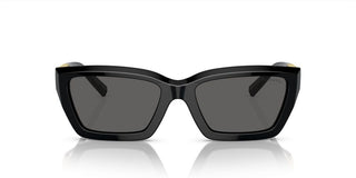 Tiffany & Co. TF 4213 women Black Geometric Sunglasses