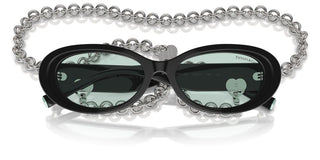 Tiffany & Co. Tf 4221 Women Black Oval Sunglasses