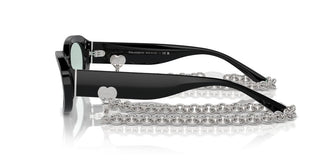 Tiffany & Co. Tf 4221 Women Black Oval Sunglasses