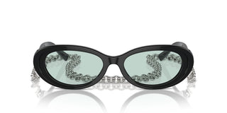 Tiffany & Co. Tf 4221 Women Black Oval Sunglasses