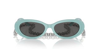 Tiffany & Co. Tf 4221 Women Blue Oval Sunglasses