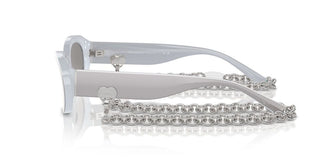 Tiffany & Co. Tf 4221 Women Silver Oval Sunglasses
