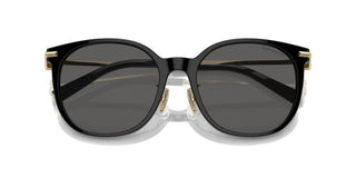 Tiffany & Co. Tf 4224d Women Black Pantos Sunglasses