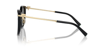 Tiffany & Co. Tf 4224d Women Black Pantos Sunglasses