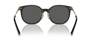 Tiffany & Co. Tf 4224d Women Black Pantos Sunglasses
