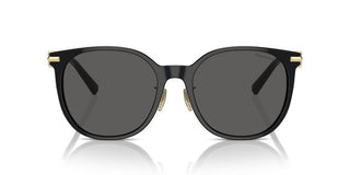 Tiffany & Co. Tf 4224d Women Black Pantos Sunglasses