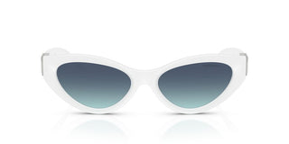 Tiffany & Co. TF 4225U women 0 Cat Eye Sunglasses